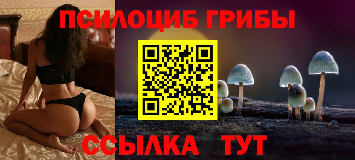 Псилоцибиновые грибы GOLDEN TEACHER Великие Луки